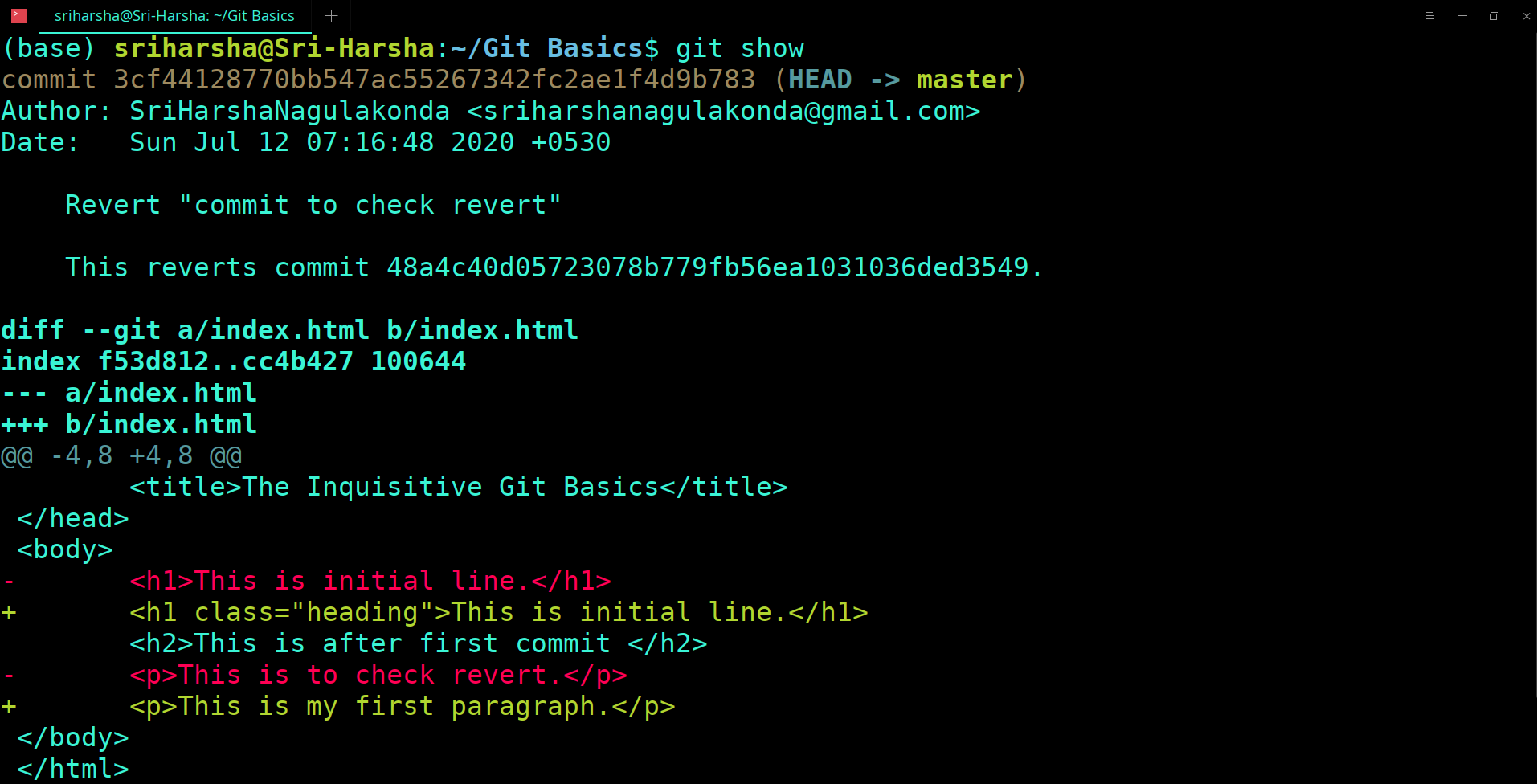 GIT SHOW